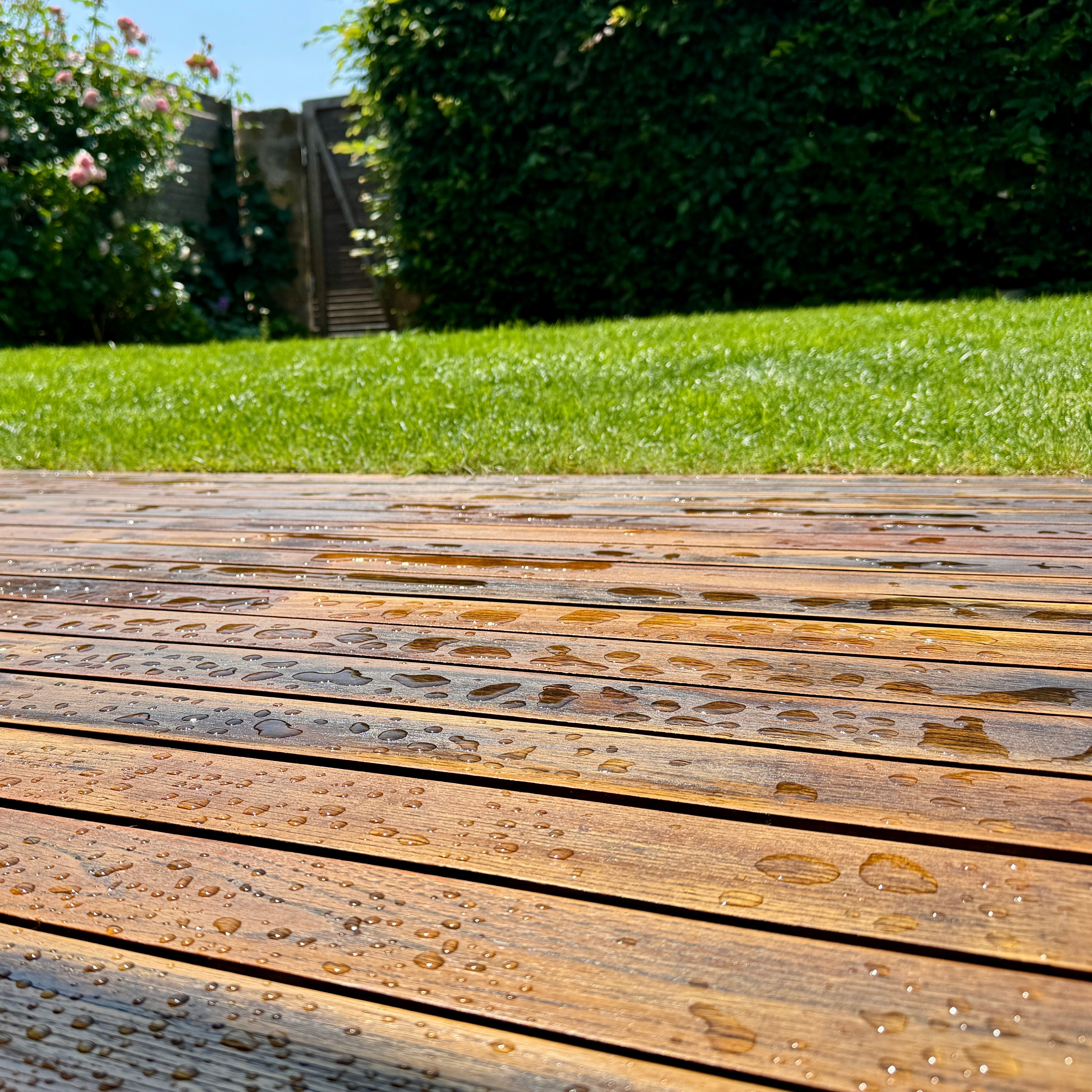 RIBOL - Das Terrassenöl für Harthölzer wie Robinie, Eiche und TEAK