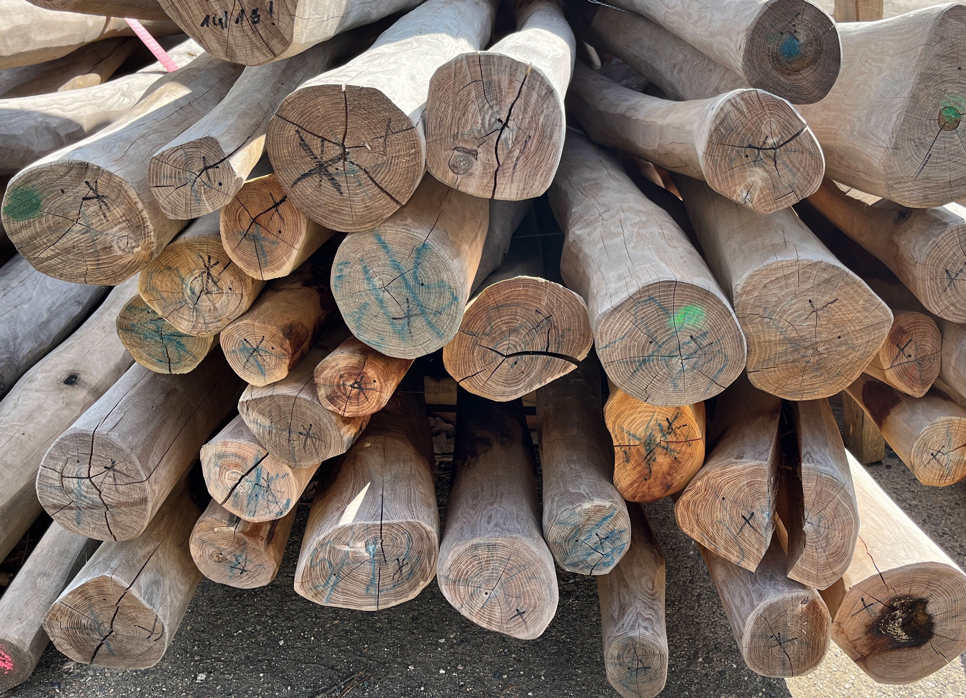 Palisade (Rundholz), 100-140 mm