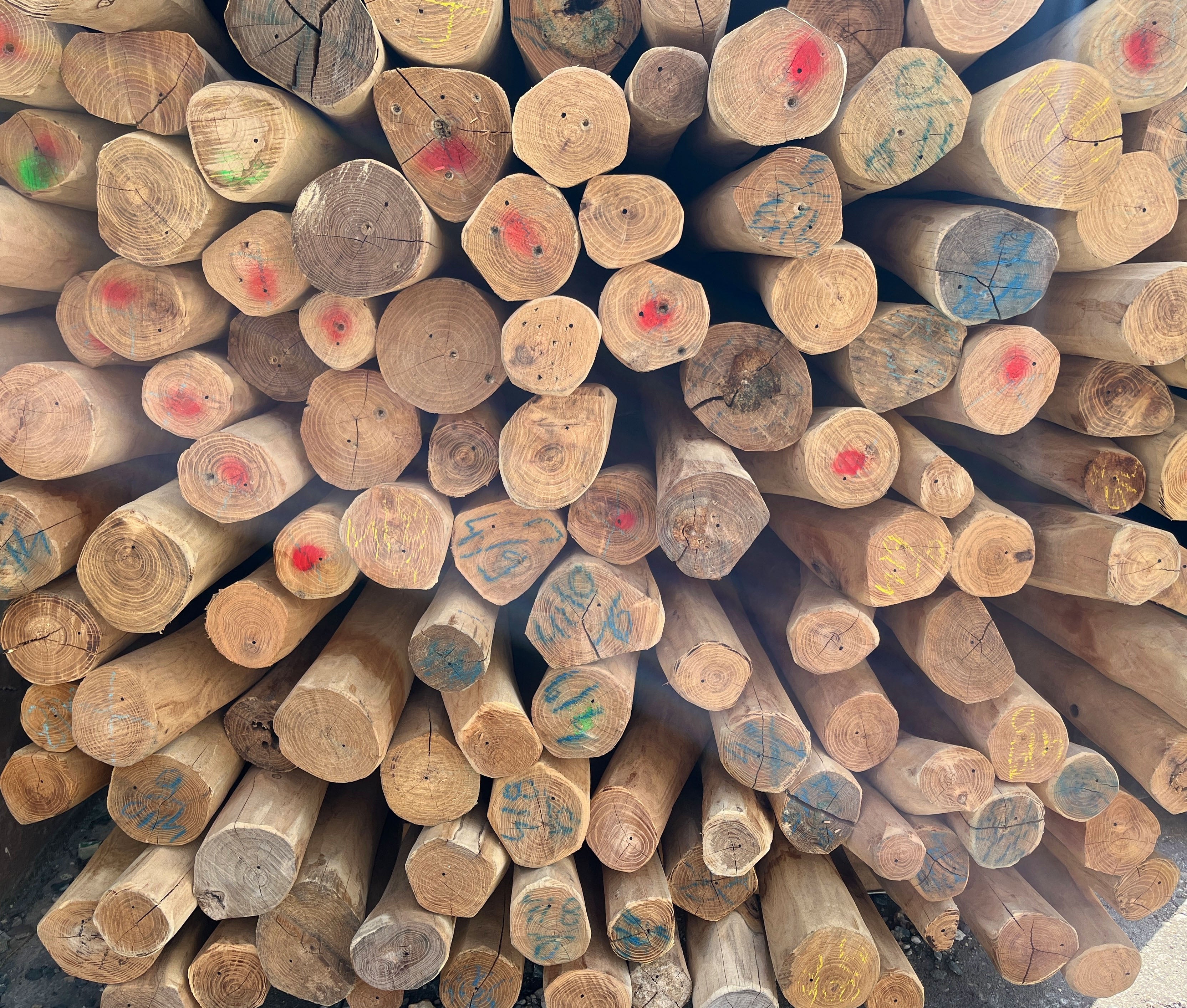 Palisade (Rundholz), 60-100 mm